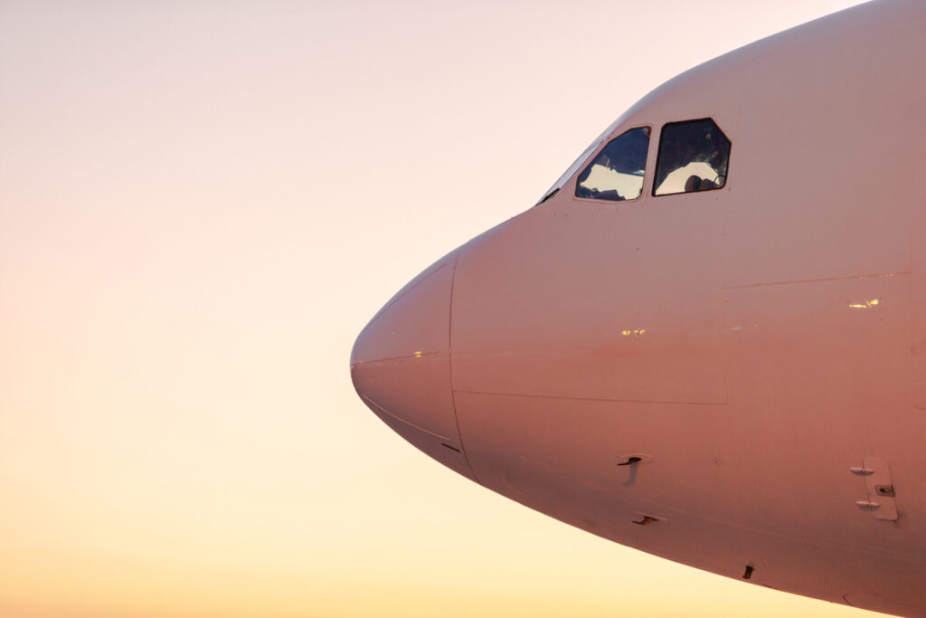 Lutz v Ryanair DAC - employment status of agency pilot